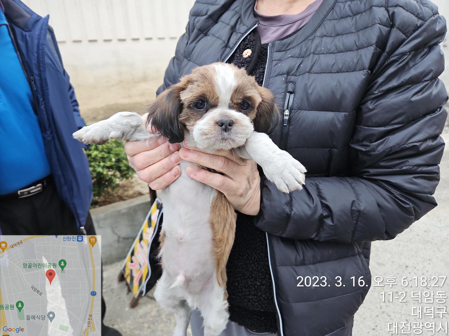 대전동물보호센터_430368202300039